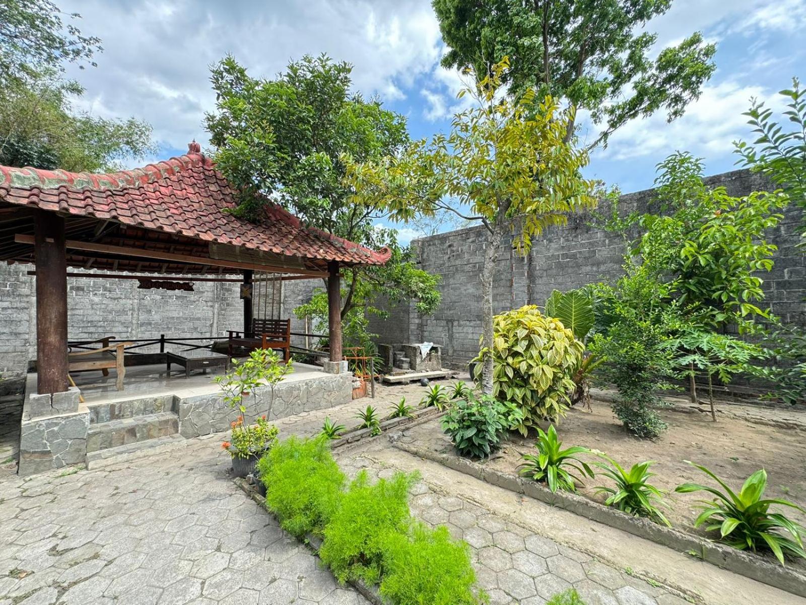 Rumah Organik Homestay Jogja view 2