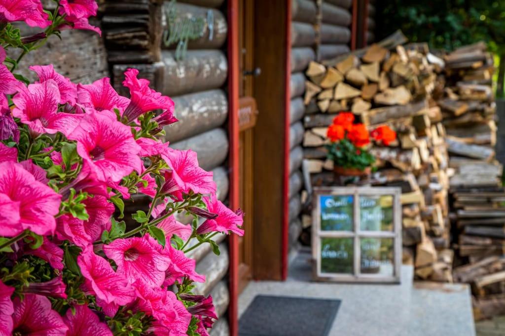 Traumhafte Auszeit in den Bergen Gemütliche Hütte für totale Entspannung