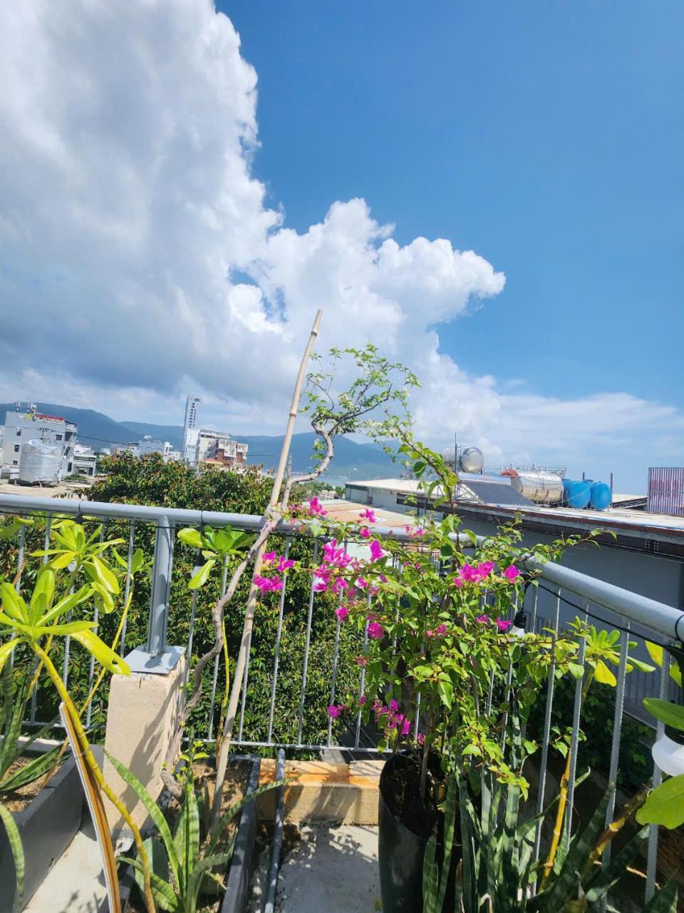 Nguyên căn 4 giường YA Beach Da Nang view 4