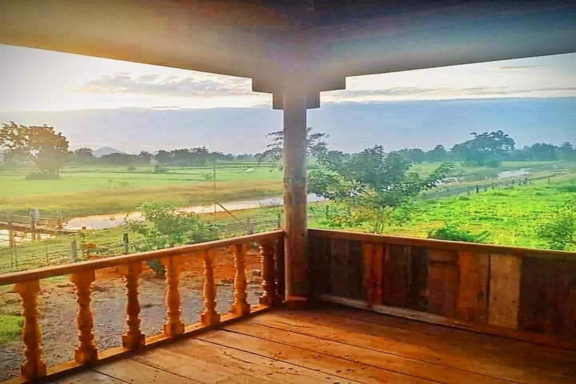 Family Batcave Homestay view 5