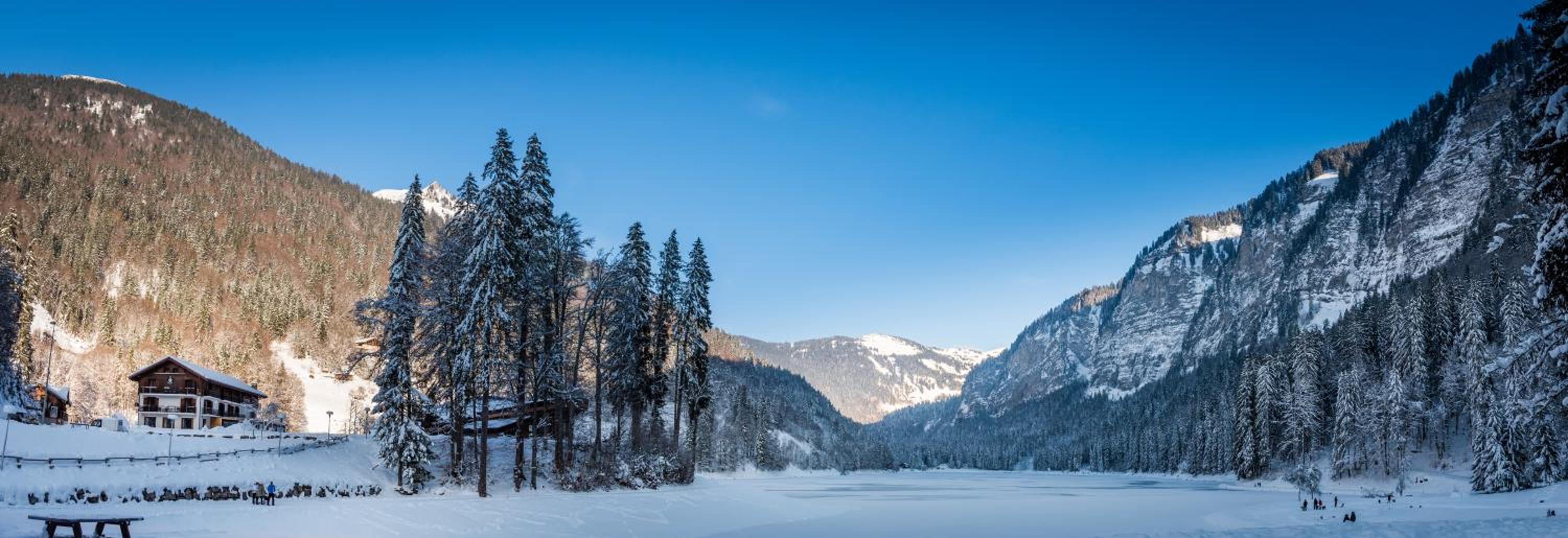 Le Petit Rêve - Lac de Montriond