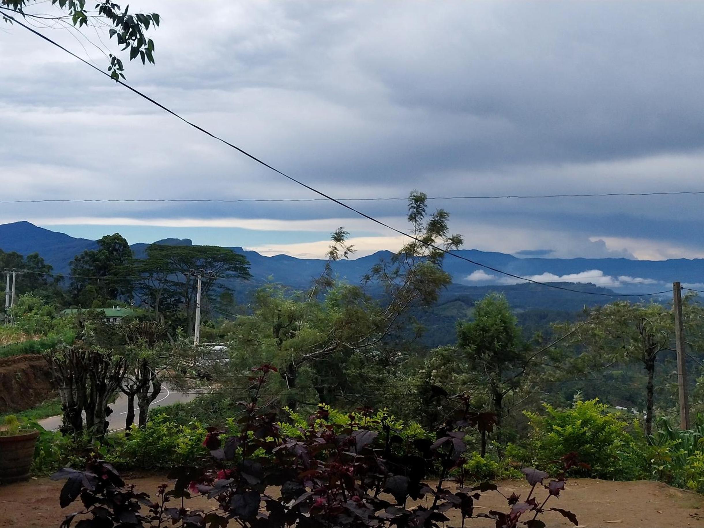 Haputale Green Leaves Holiday Home view 5