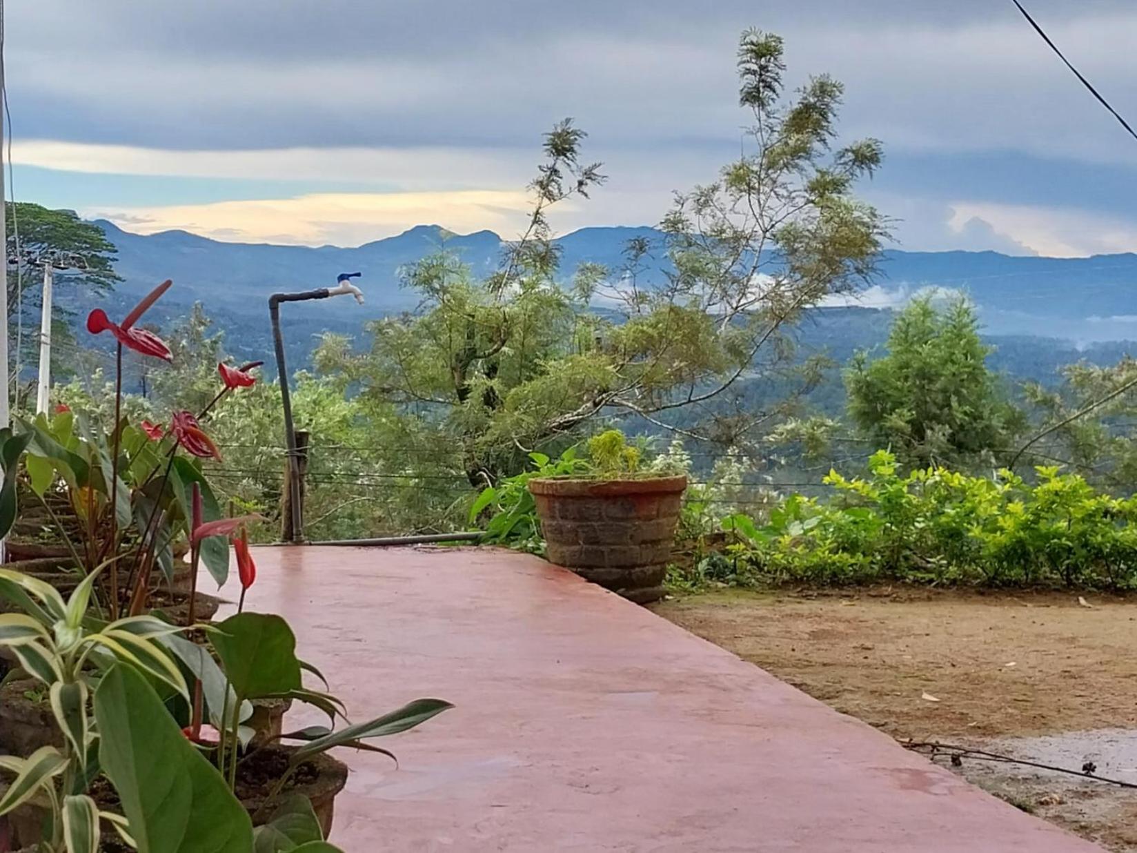 Haputale Green Leaves Holiday Home view 4