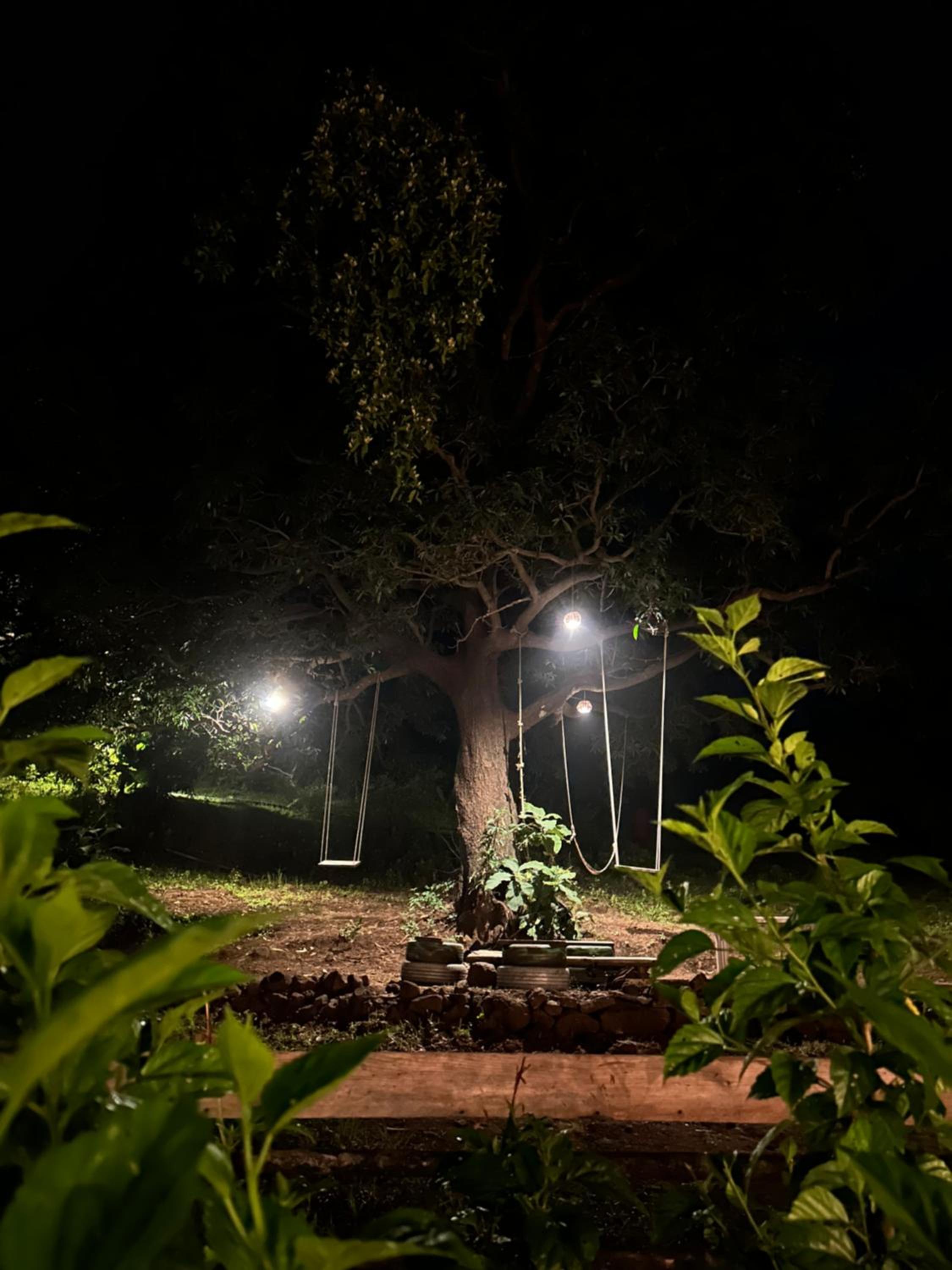 Kathaa the forest retreat