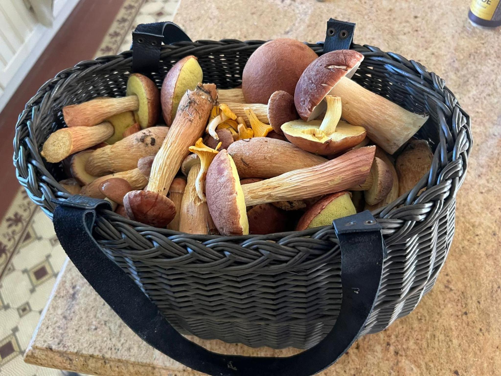 Brīvdienu māja Mulki