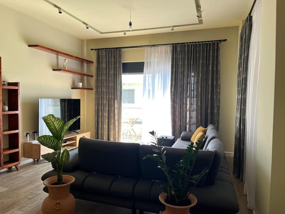Rea's Apartment