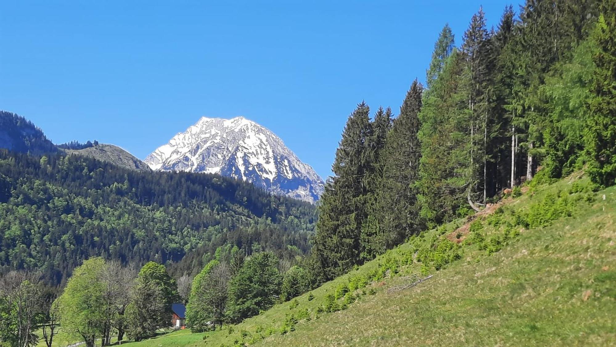 Bad Mitterndorf 210
