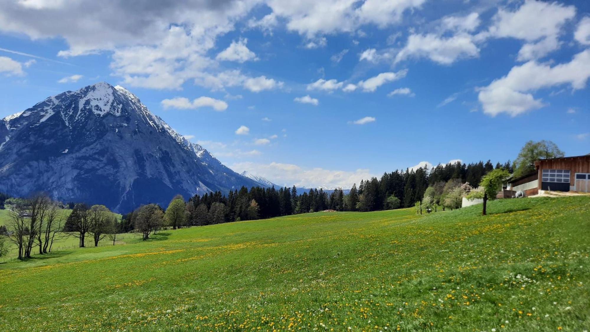 Bad Mitterndorf 210