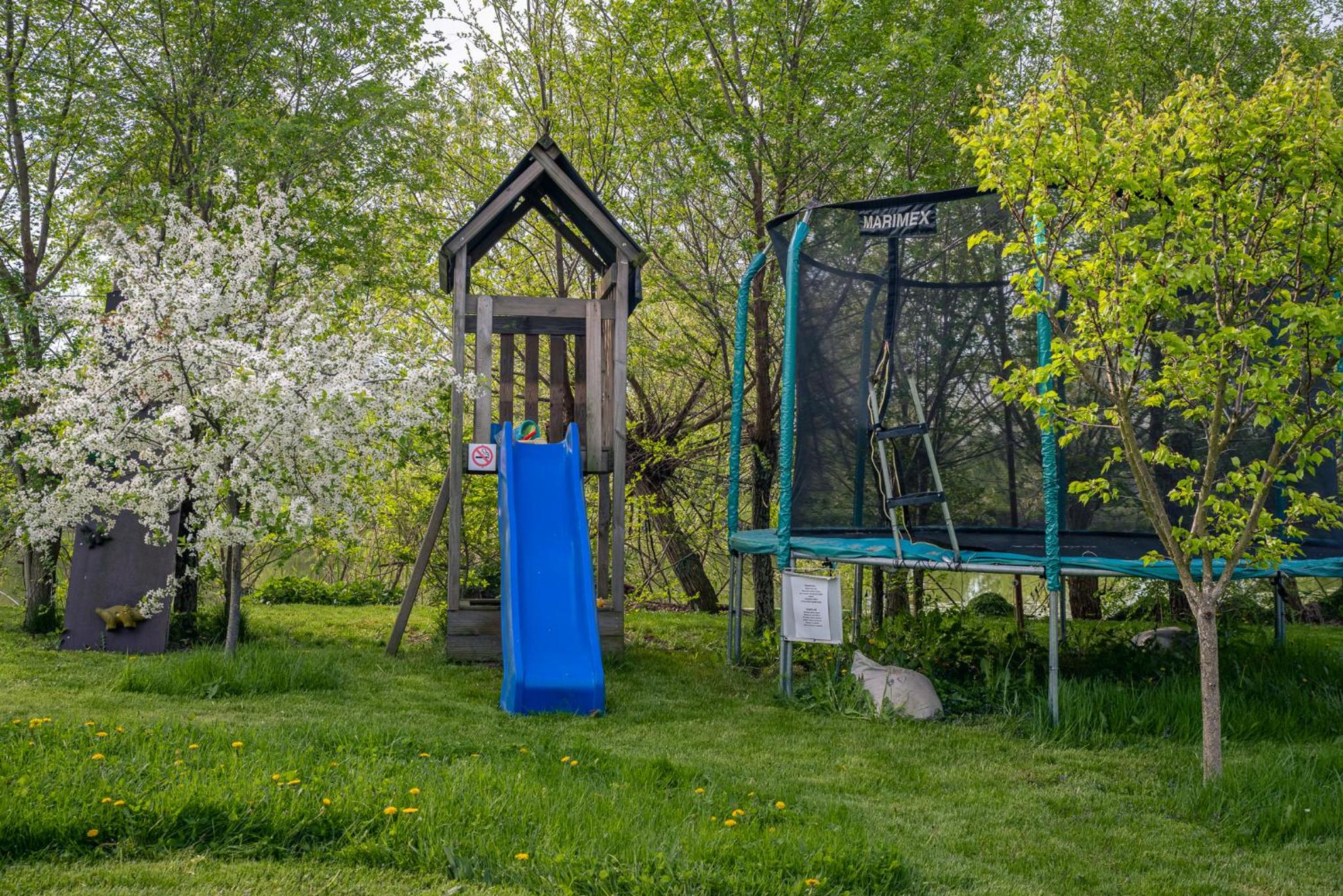 Přírodní dům v duchu velryby v Polabí