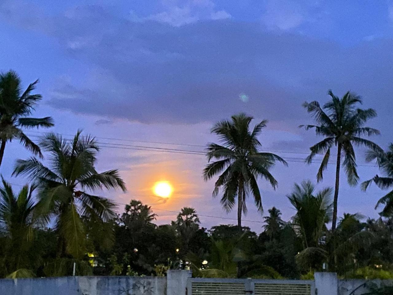 Home Stay & Parties view 5