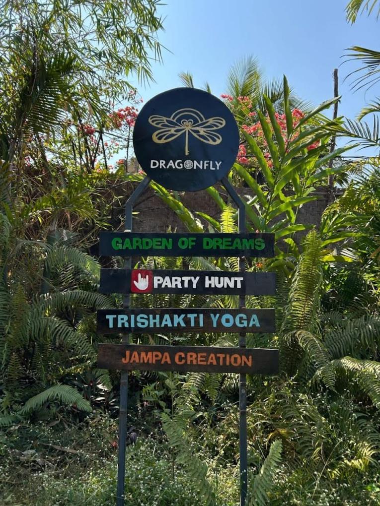 Dragonfly Goa view 5