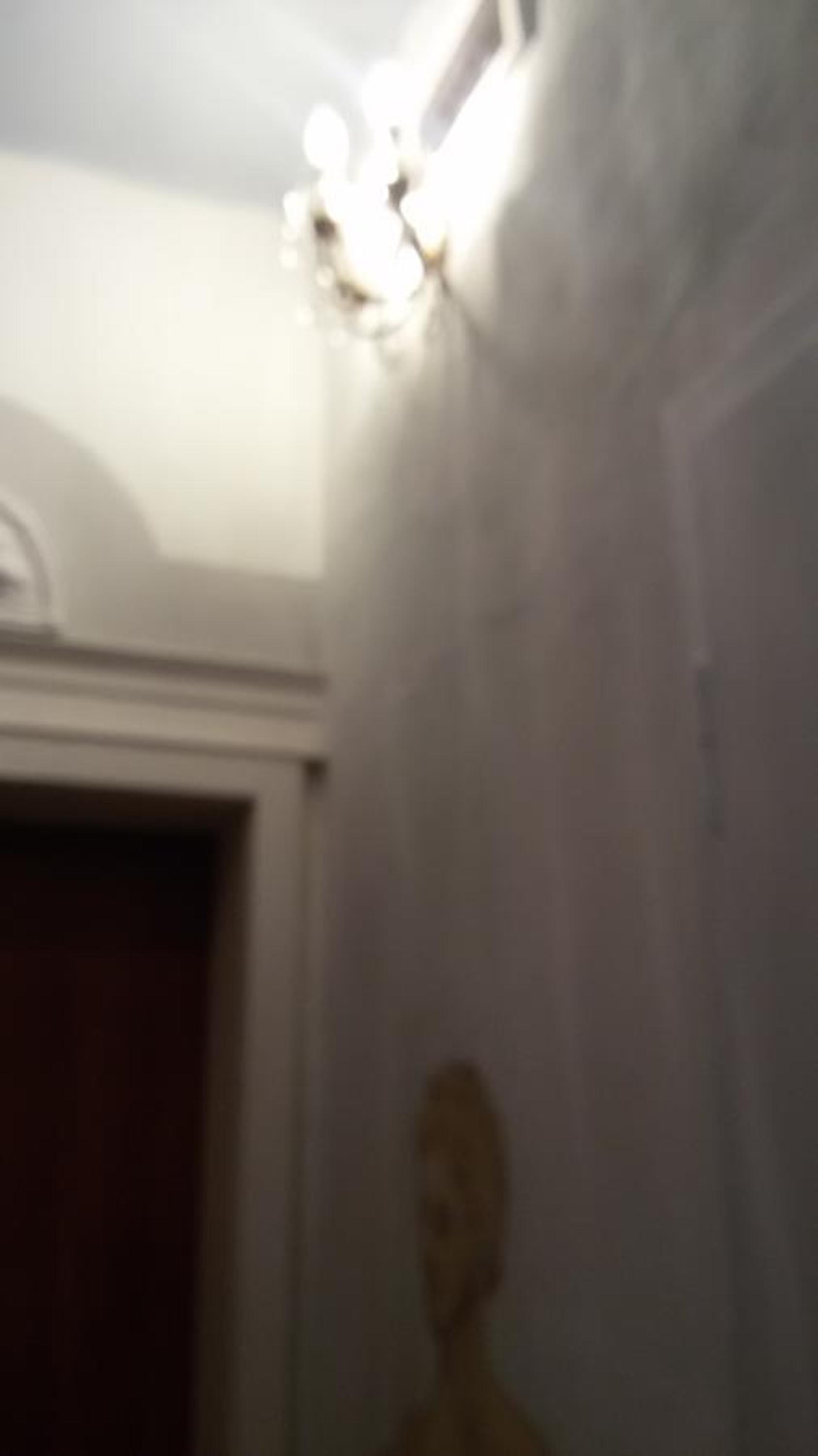 Villa Fiorita