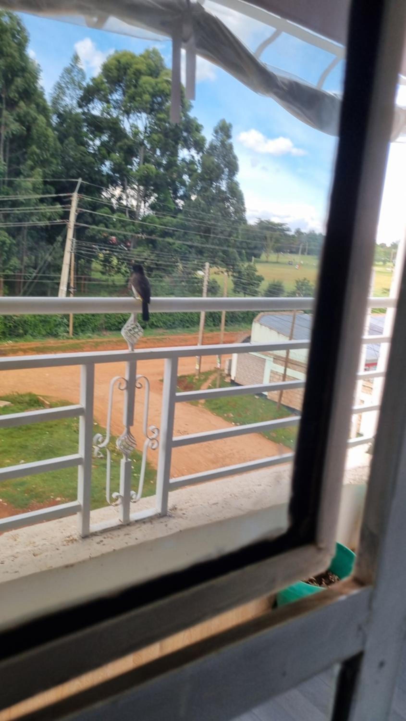 Crystal Cribs located at Esther House between Simba and Stabex Petrol stations along the Eldoret Nakuru highway near Nova School, Timba XO and Moi Universi