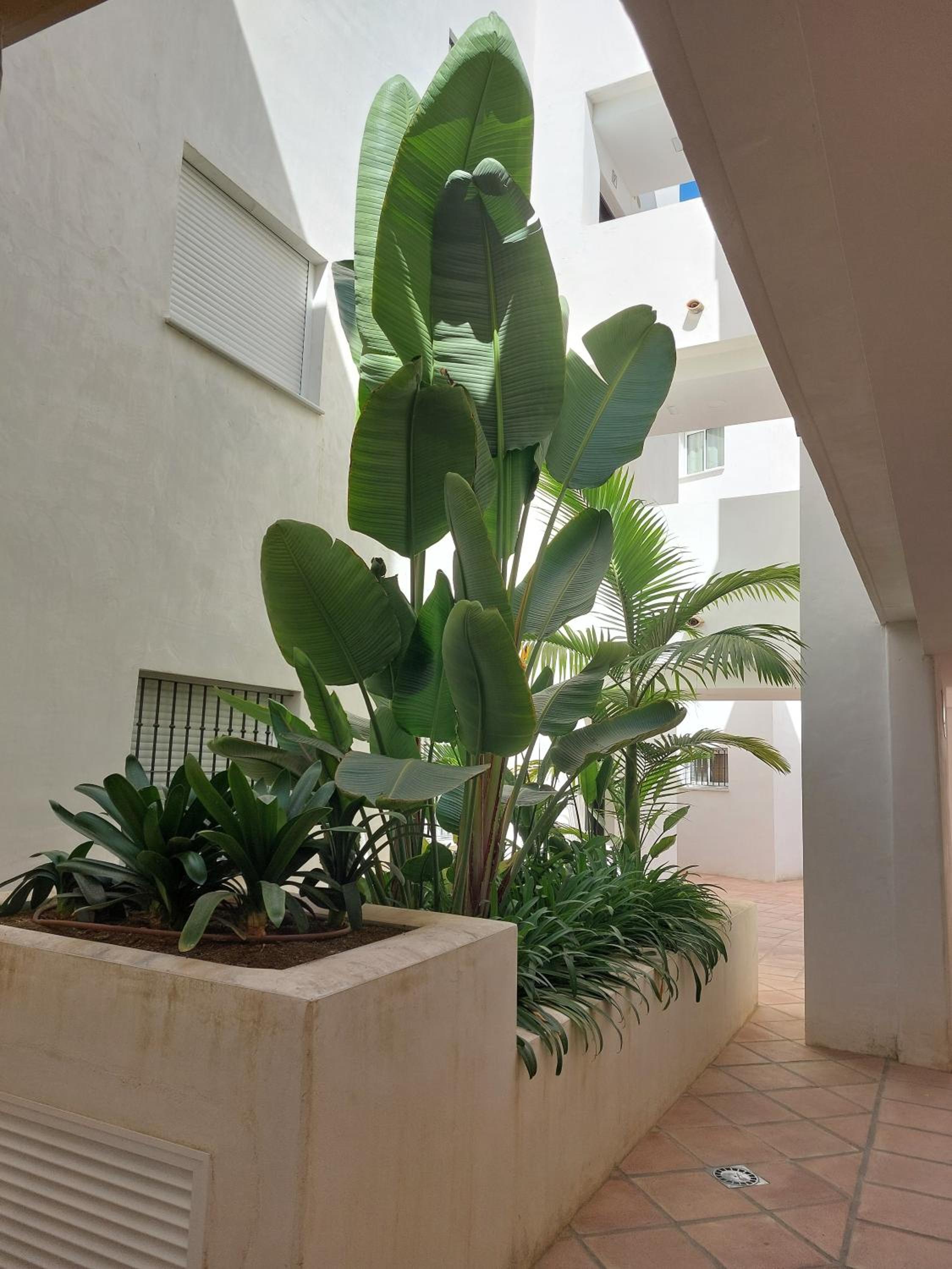 Apartamento Ático Costa Ballena Jardines del Lago Cádiz