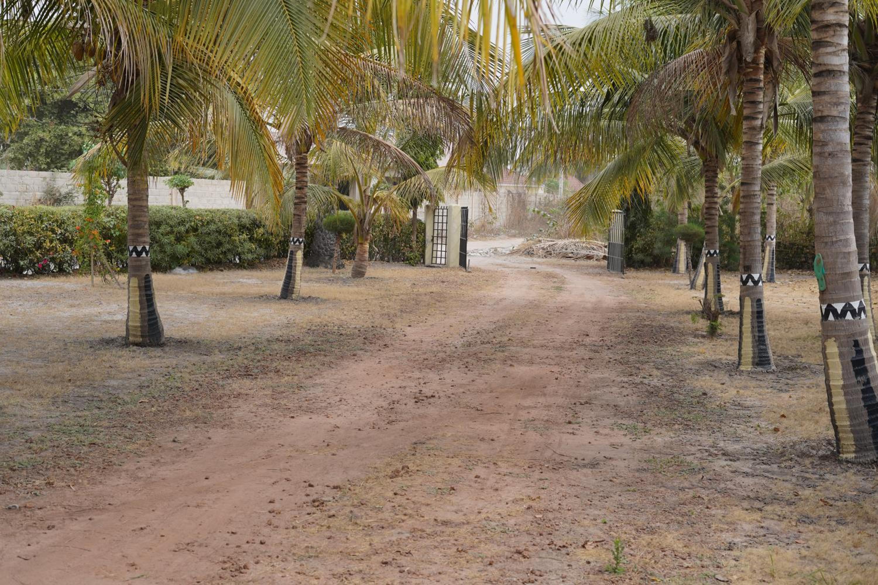 Dafa Tanga Lodge view 5
