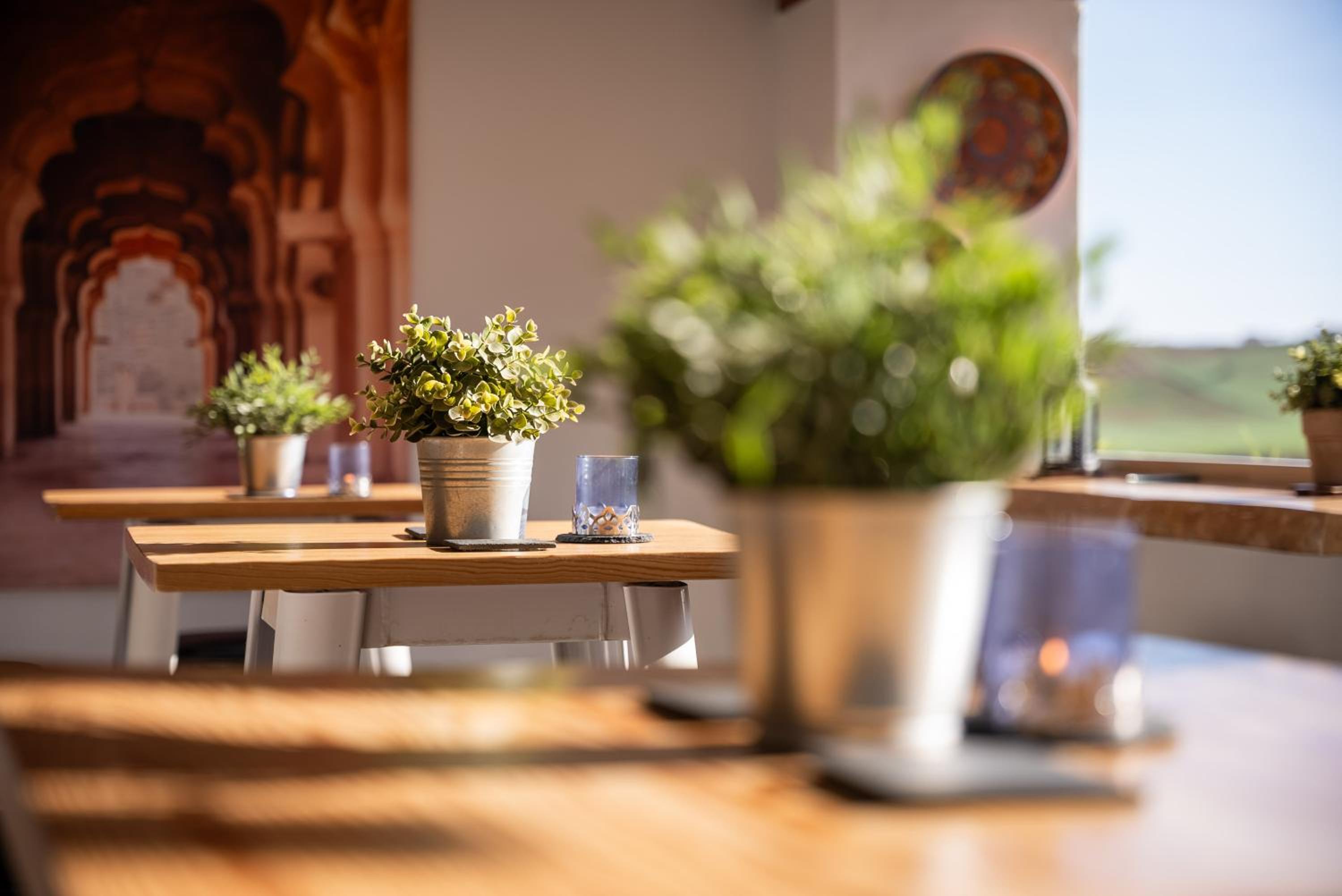 Finca Gran Cerros photo 4