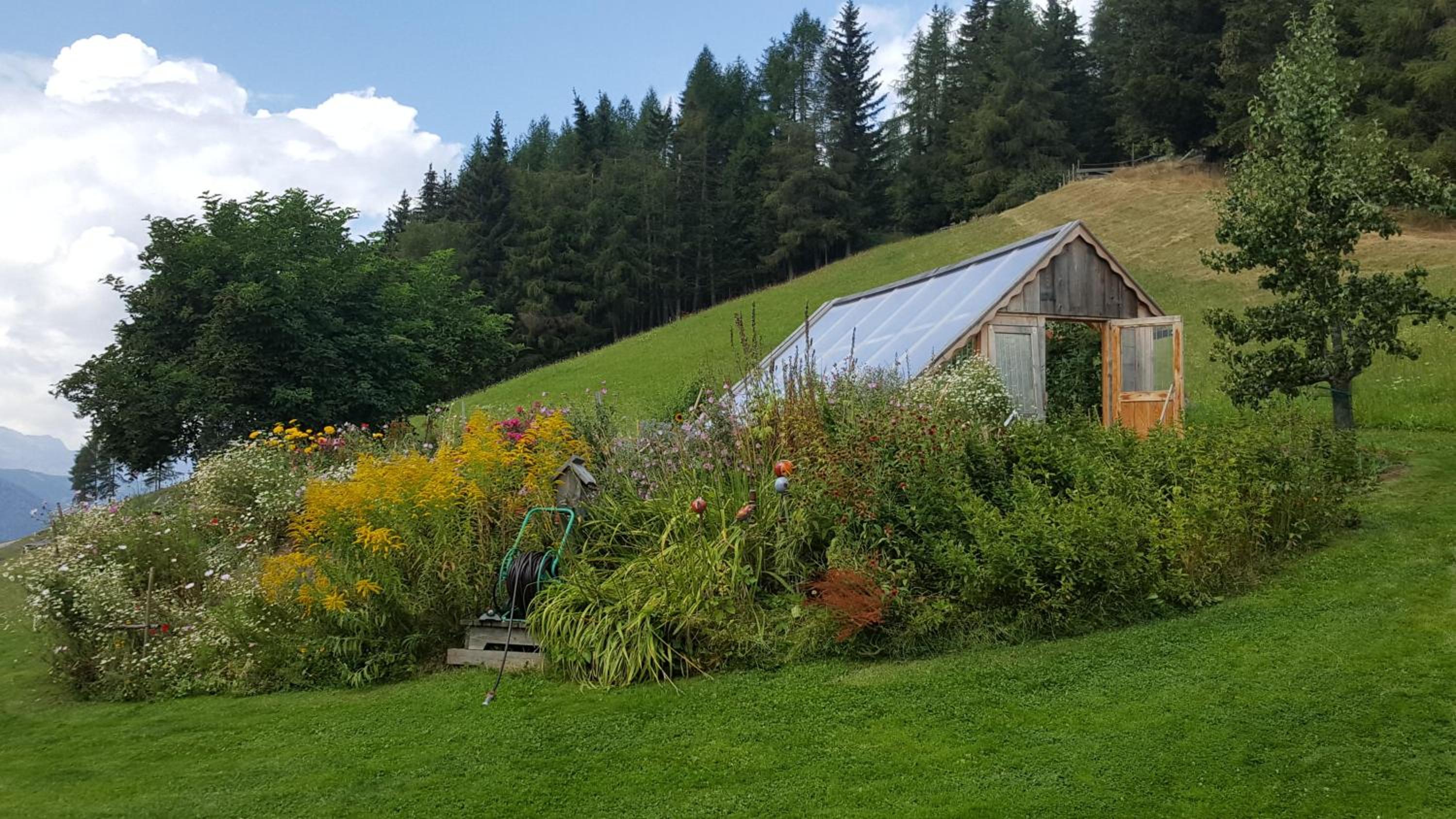 Binderhof