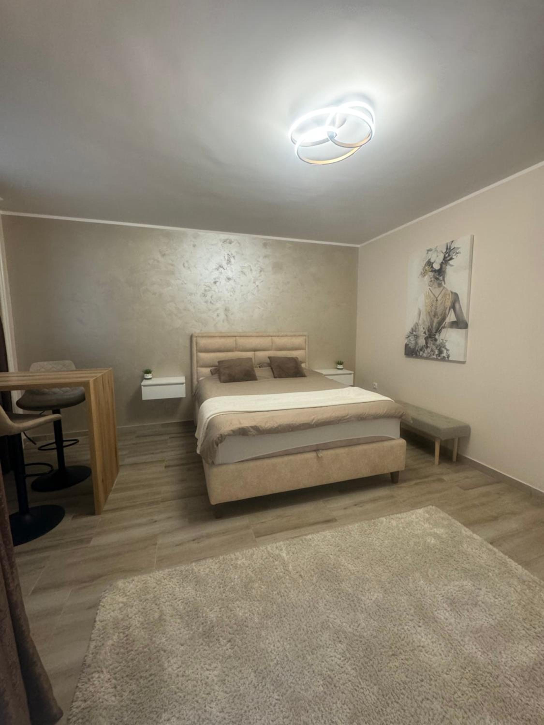 Lux Apartment DC view 4