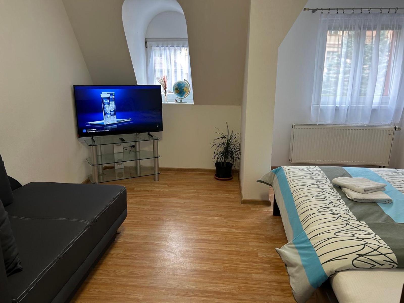 Apartmán v Krušných horách-free parking