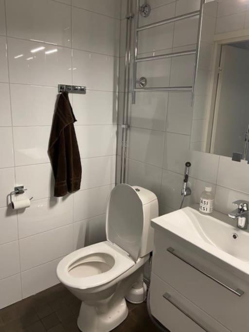 Käytännöllinen yksiö rauhallisella alueella!