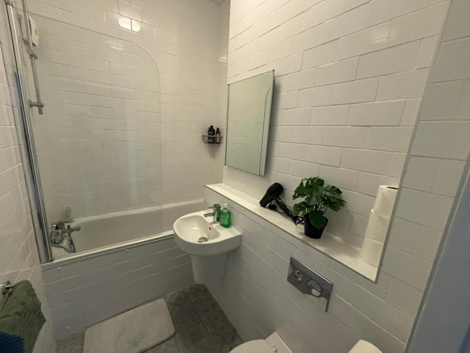 Temple bar - Entire 2 bedroom apartment