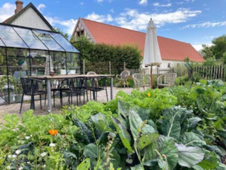 Sejersminde Bed and Breakfast