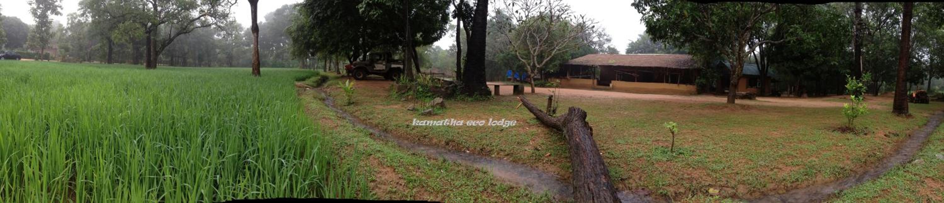 Kamatha Eco Lodge view 4