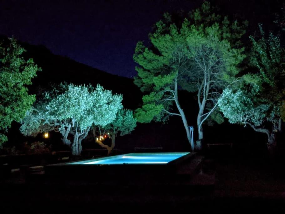Villa Jardines de Guara