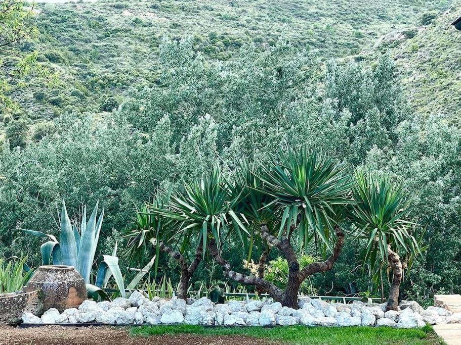 Villa Jardines de Guara