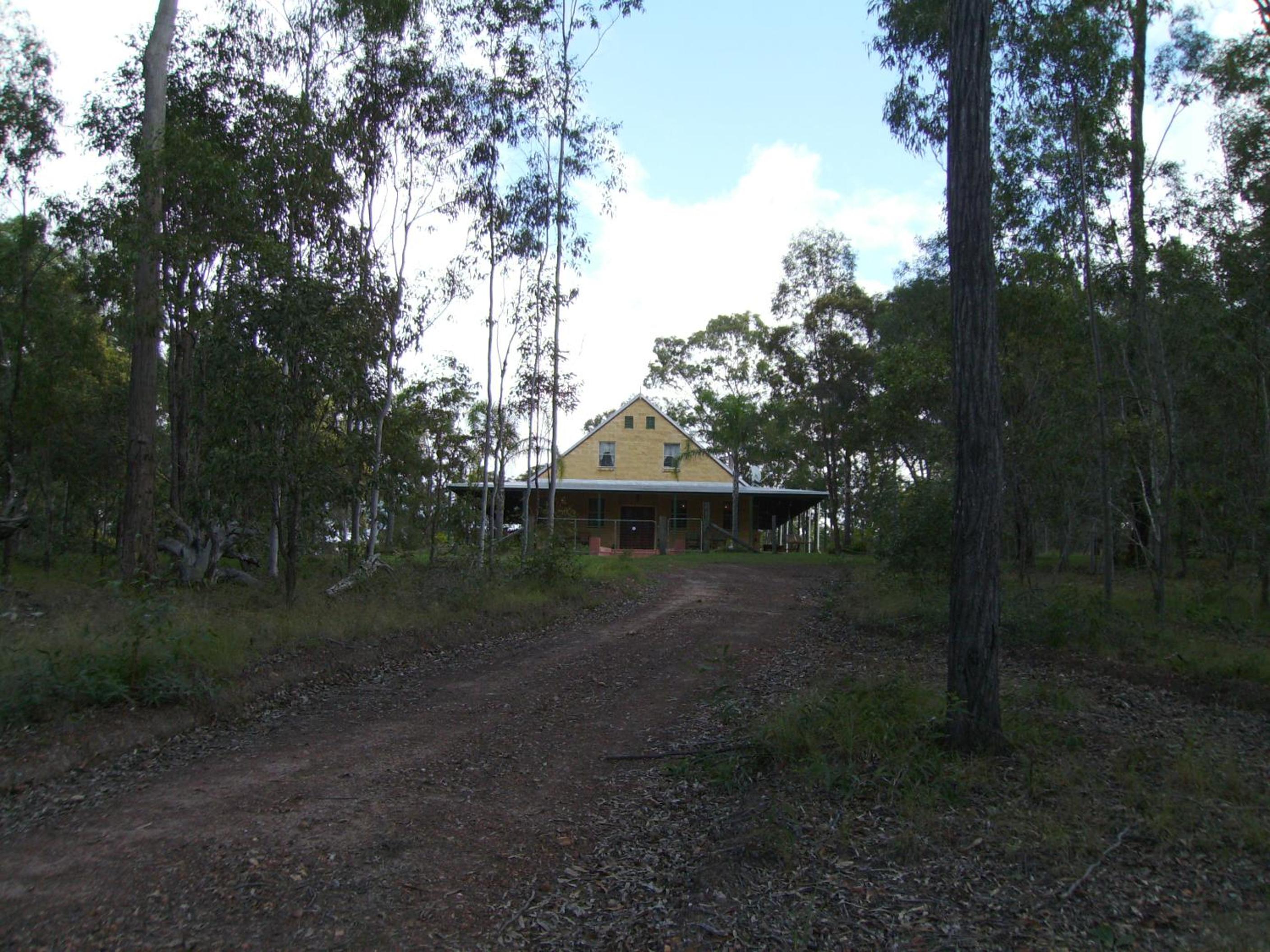 Back to the Bush