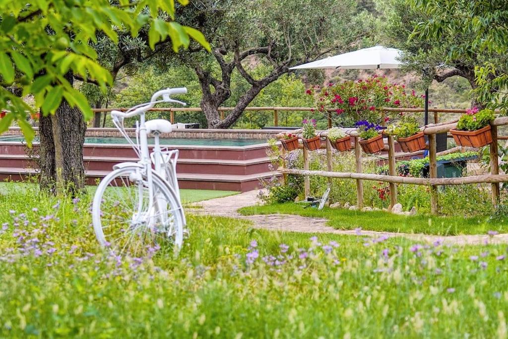 Villa Jardines de Guara
