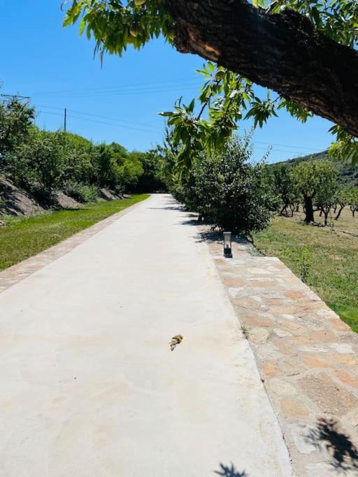 Villa Jardines de Guara