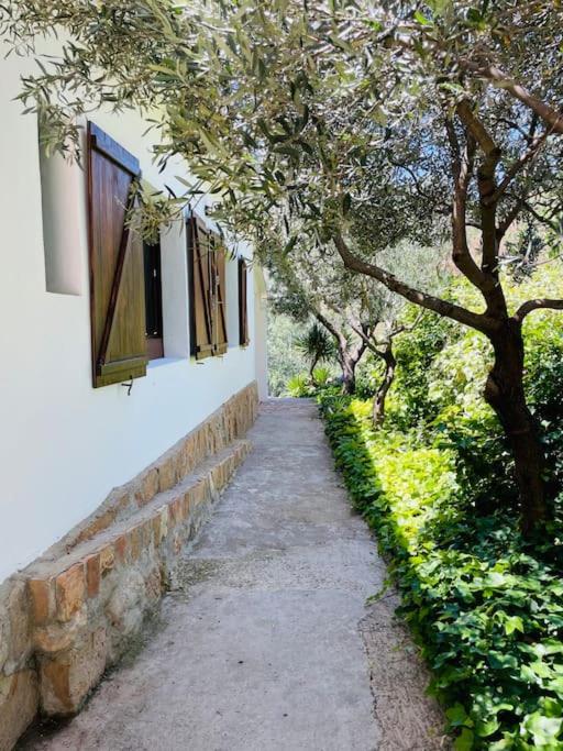 Villa Jardines de Guara