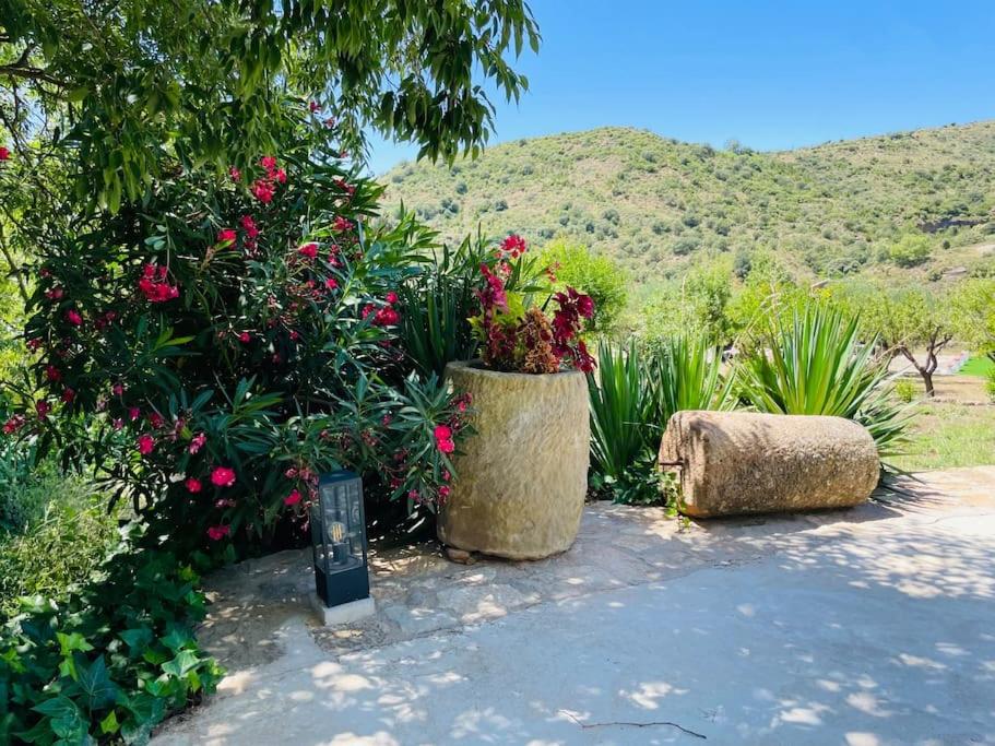 Villa Jardines de Guara