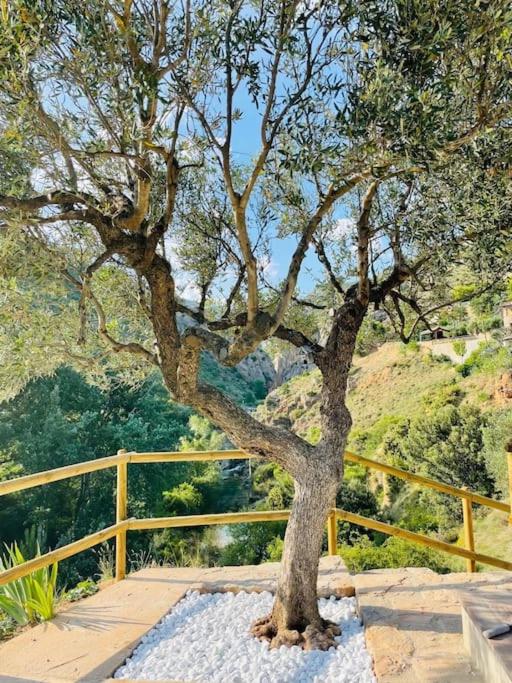 Villa Jardines de Guara