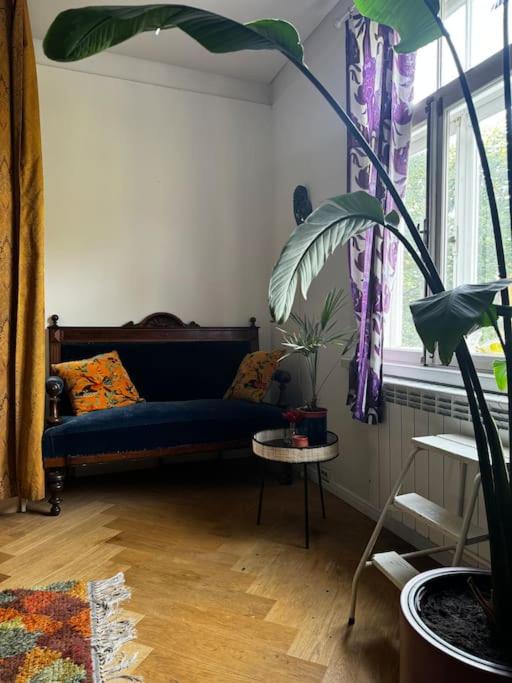 Cozy apartment in Tallinn