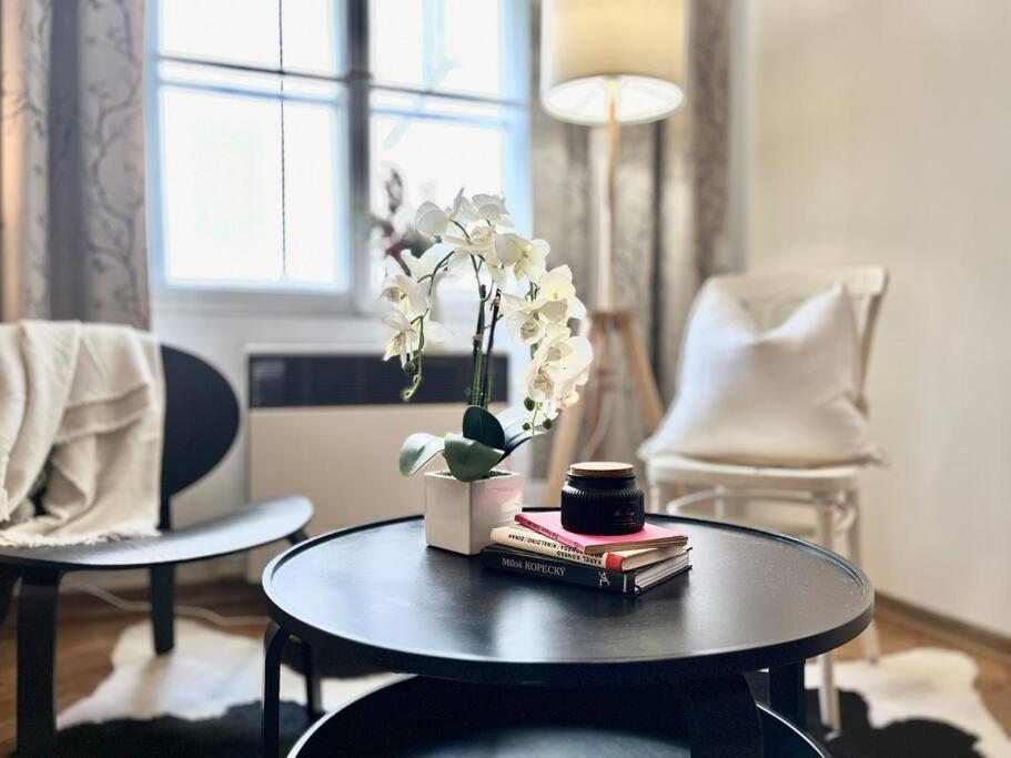 Wenceslas - Prague Apartment