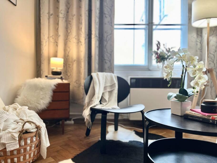 Wenceslas - Prague Apartment