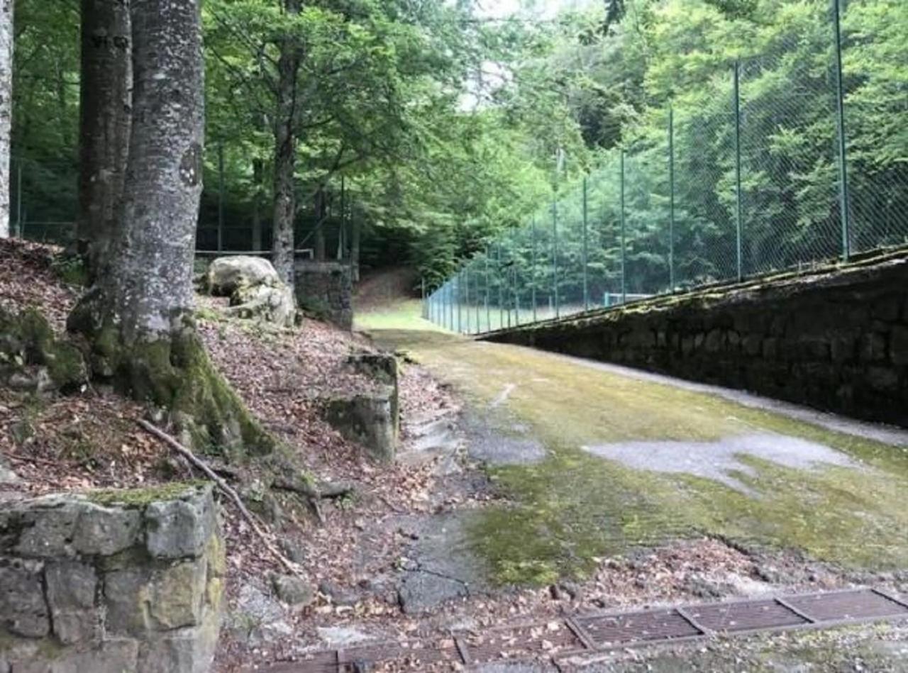 Photo 21