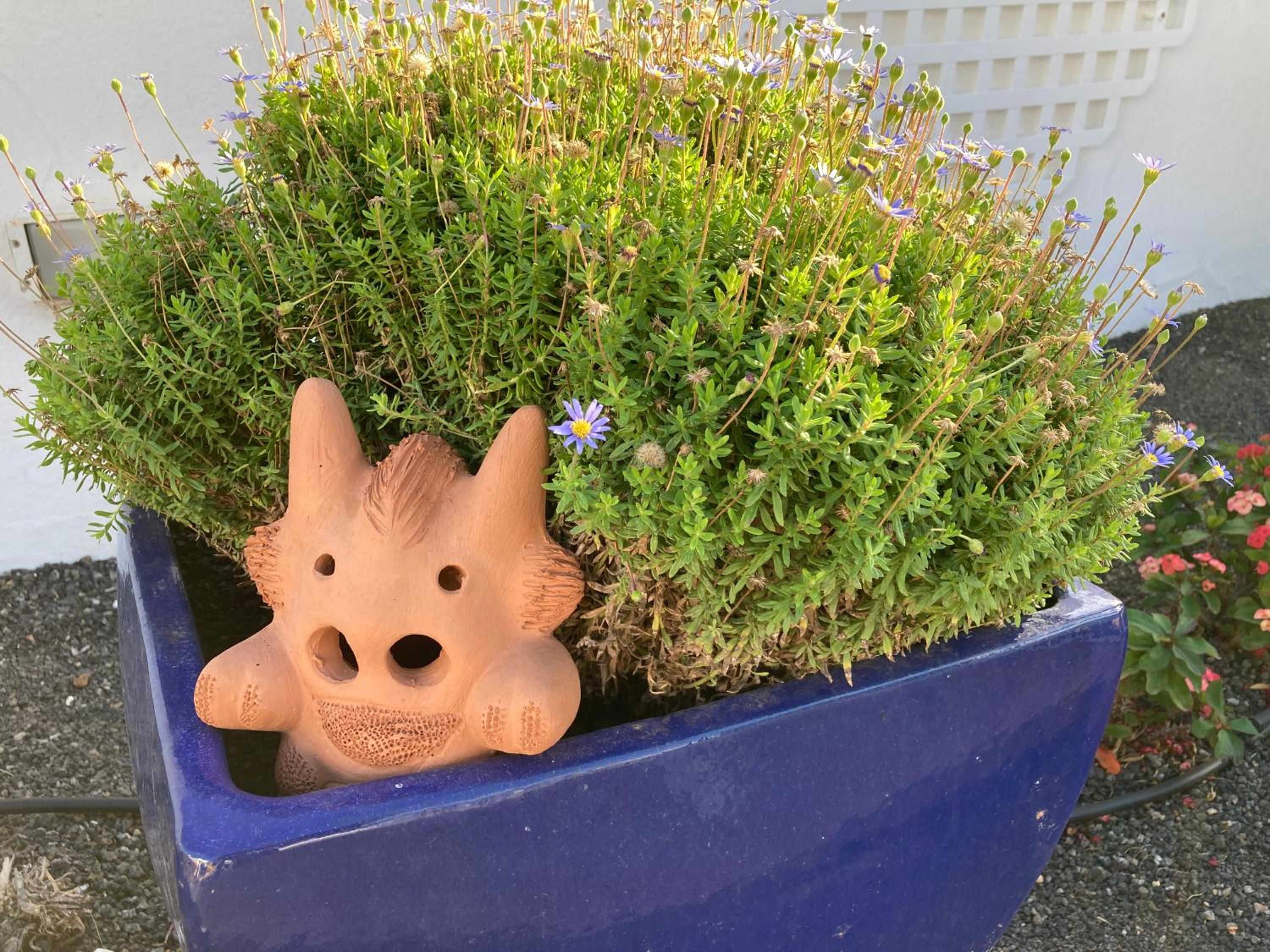 Photo 19