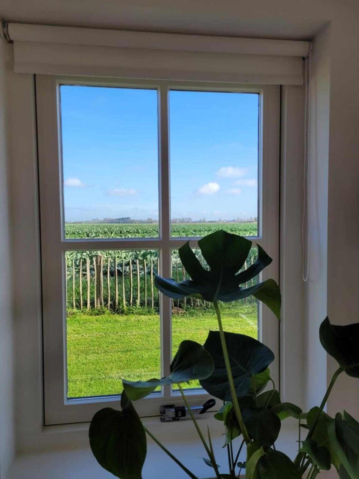 Vakantiehuis de Zeeuwse Zonnehoed view 2