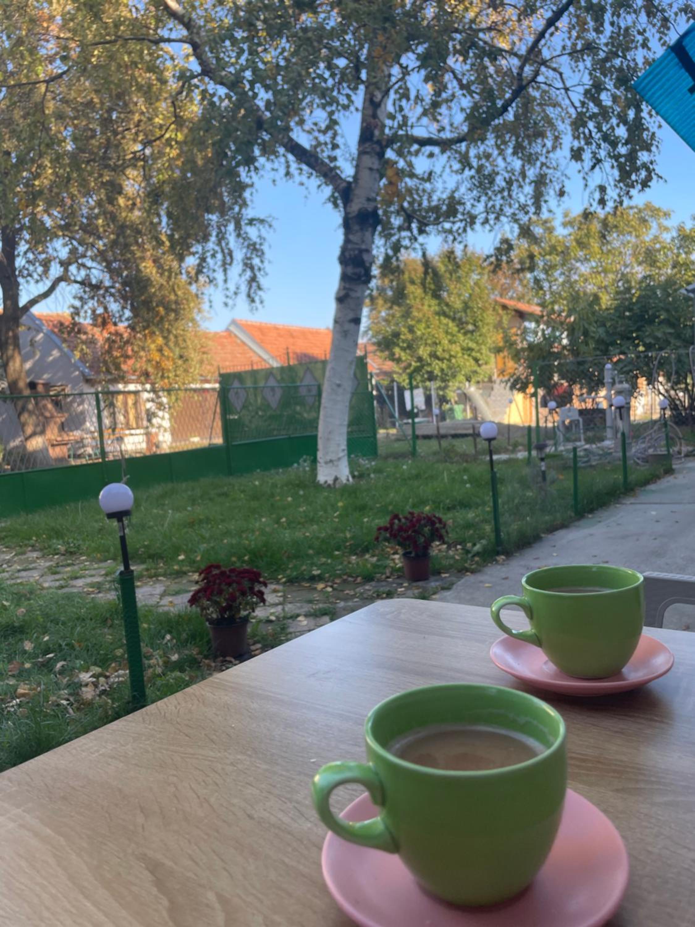 Srpska Crnja Home view 2