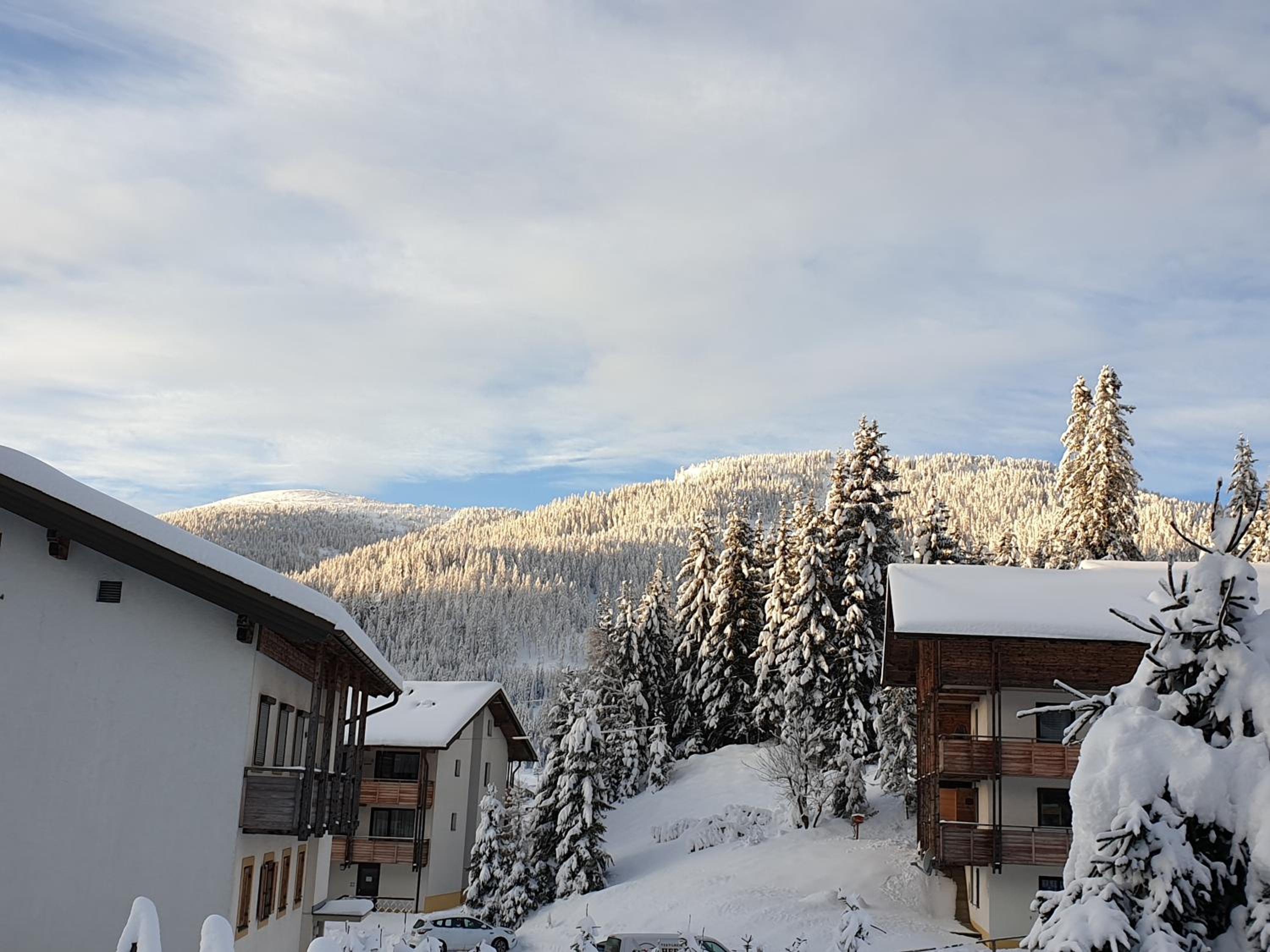 Ferienhaus Schäfer - Apartments - Wintersports - Family holiday - Holiday with your dog - Rural & Scenic