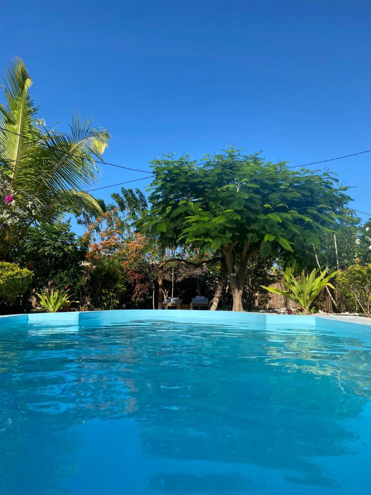 Sweet Home view 5