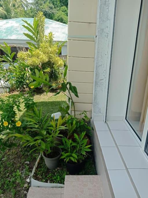 Appartement Masoti