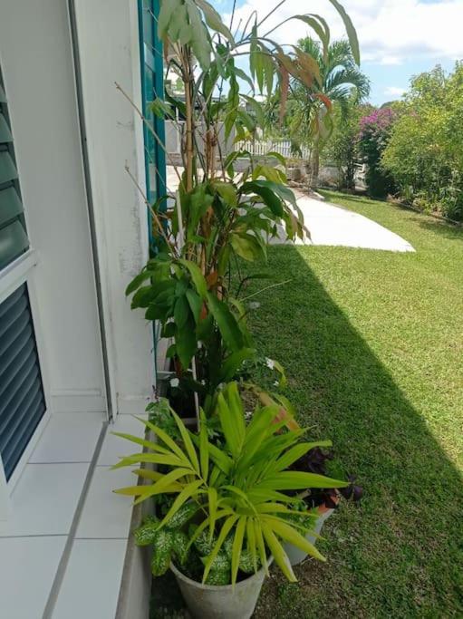 Appartement Masoti