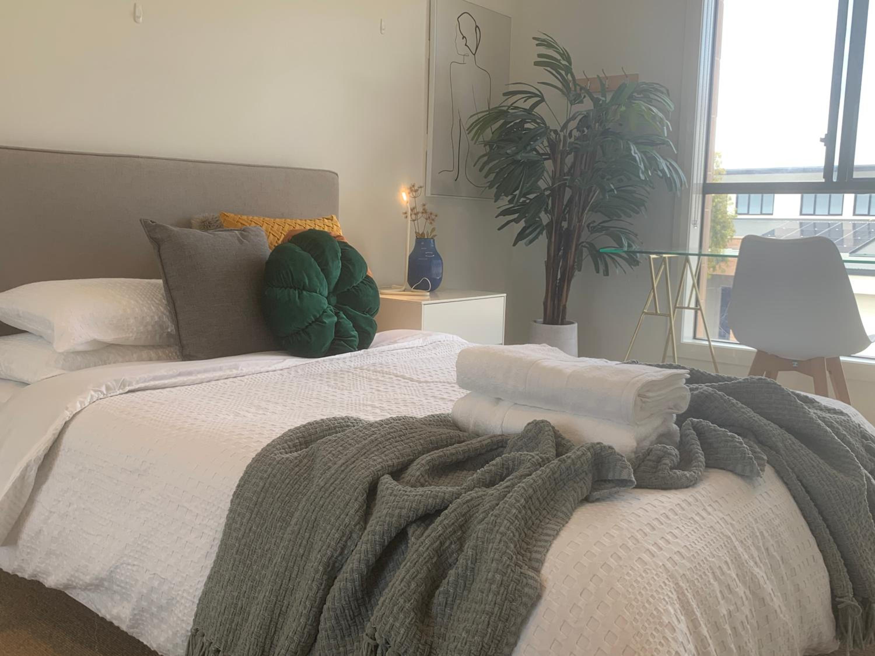 Stellar Suite