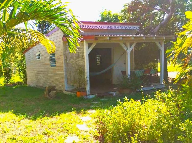 bungalow papaya