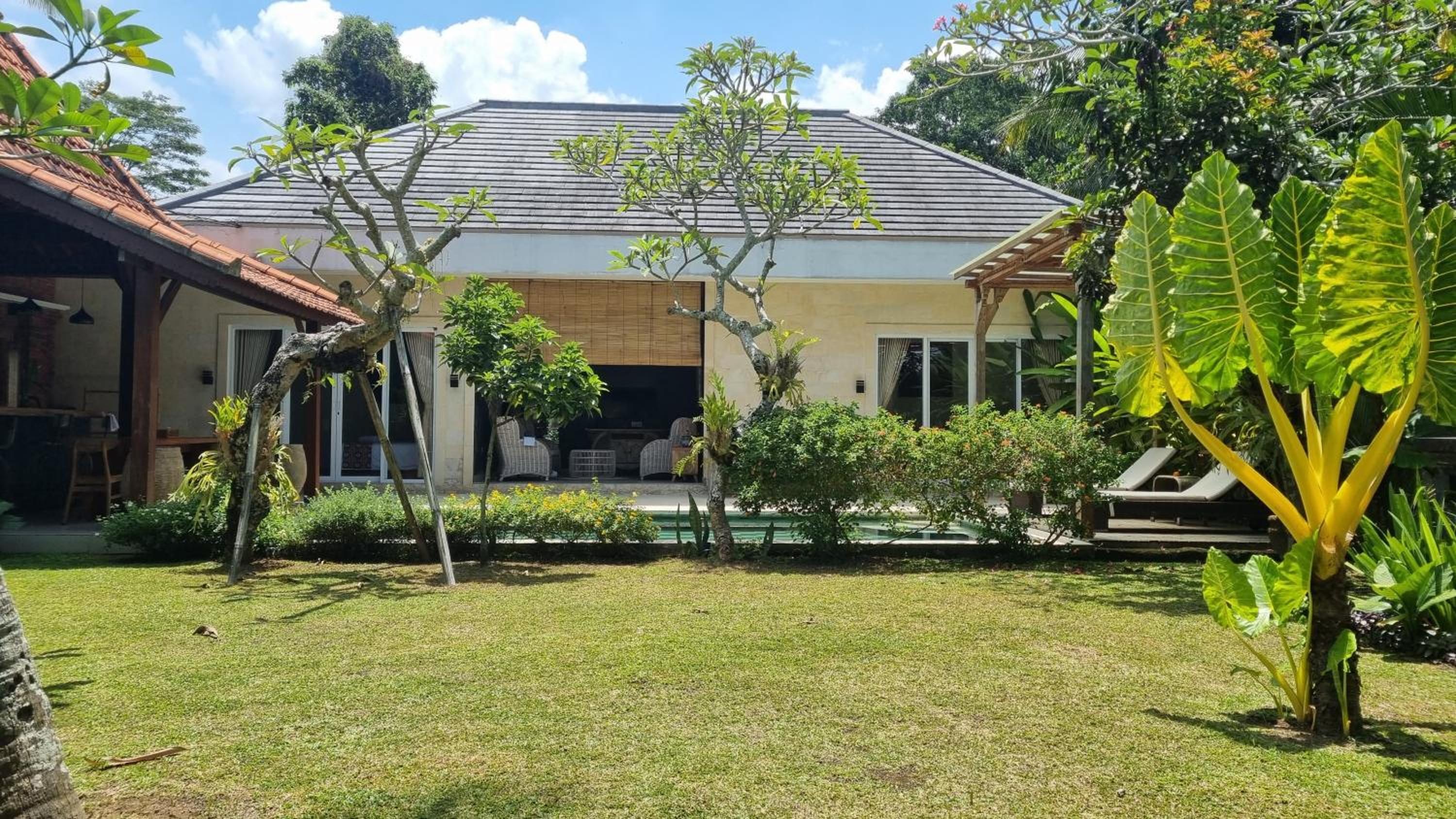 New 4 BR Villa surrounded by Jungle and Ricefields view 4