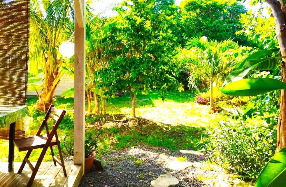 Bungalow Kokonut Marie galante